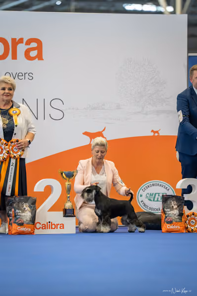 INTERCANIS Brno – FCI 2