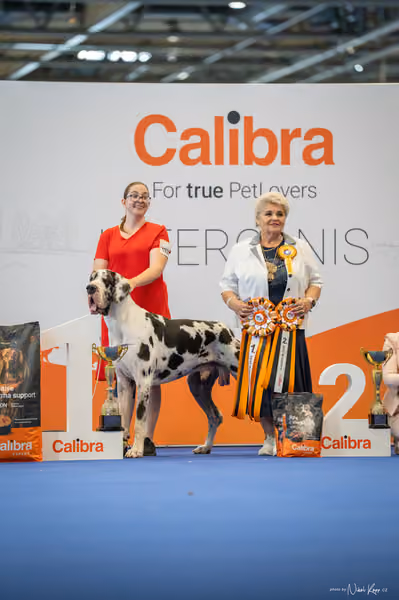 INTERCANIS Brno – FCI 2