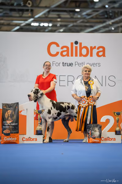 INTERCANIS Brno – FCI 2