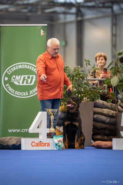 INTERCANIS Brno – FCI 2
