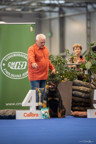 INTERCANIS Brno – FCI 2