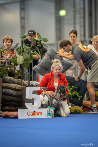 INTERCANIS Brno – FCI 2