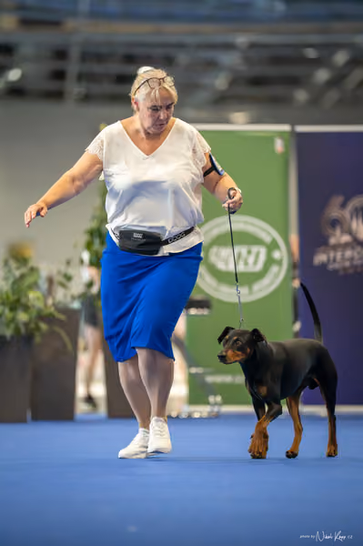 INTERCANIS Brno – FCI 2
