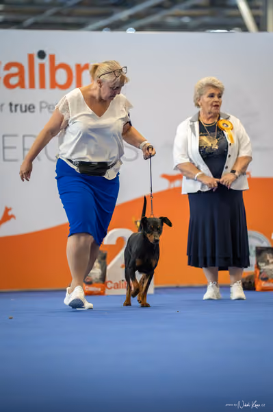 INTERCANIS Brno – FCI 2