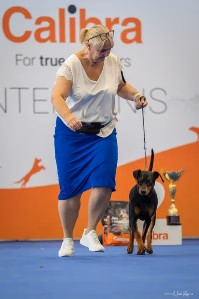 INTERCANIS Brno – FCI 2