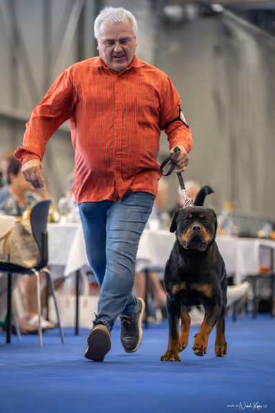 INTERCANIS Brno – FCI 2