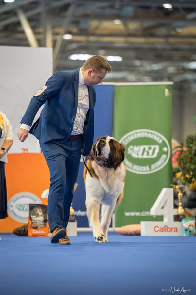 INTERCANIS Brno – FCI 2