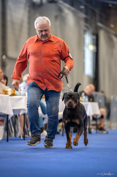 INTERCANIS Brno – FCI 2