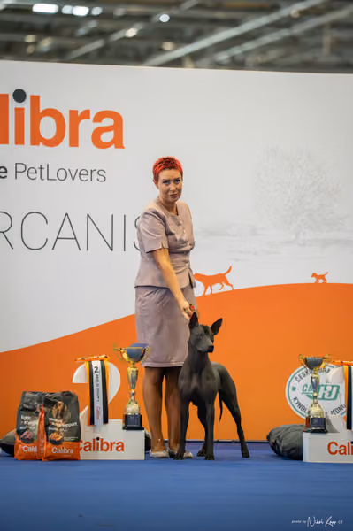 INTERCANIS Brno – FCI 5