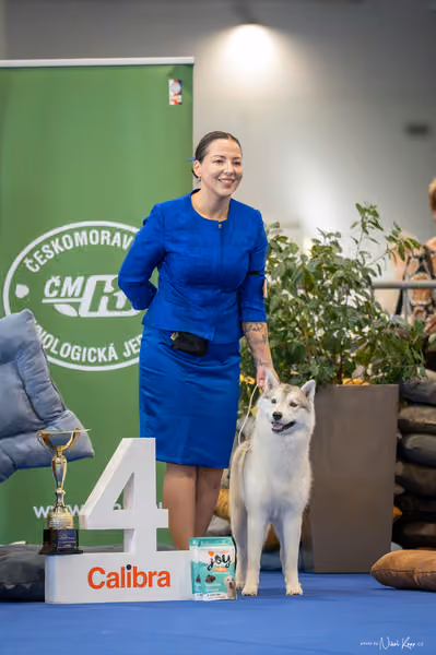 INTERCANIS Brno – FCI 5