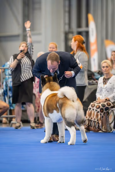 INTERCANIS Brno – FCI 5