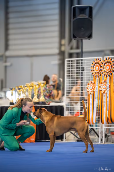 INTERCANIS Brno – FCI 5