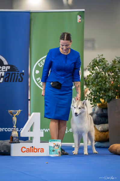INTERCANIS Brno – FCI 5