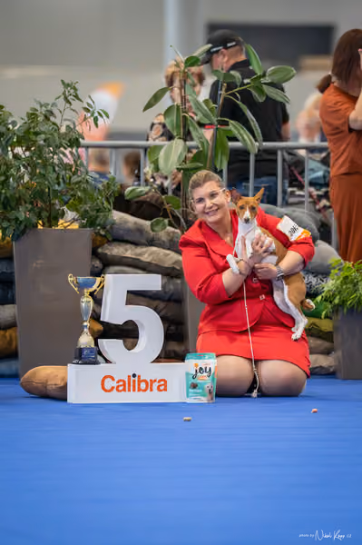 INTERCANIS Brno – FCI 5