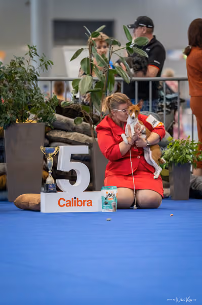 INTERCANIS Brno – FCI 5