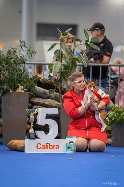 INTERCANIS Brno – FCI 5