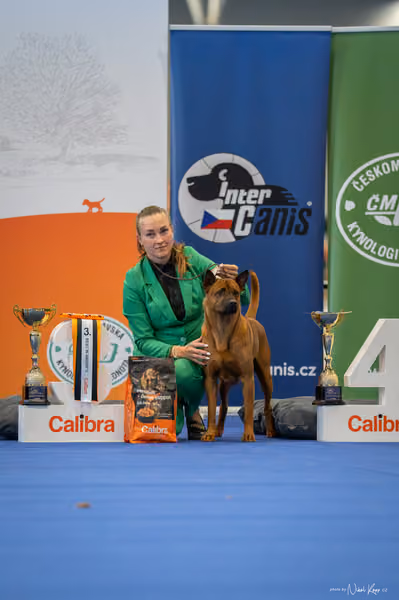 INTERCANIS Brno – FCI 5