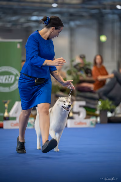 INTERCANIS Brno – FCI 5