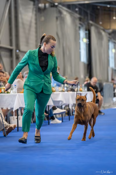 INTERCANIS Brno – FCI 5