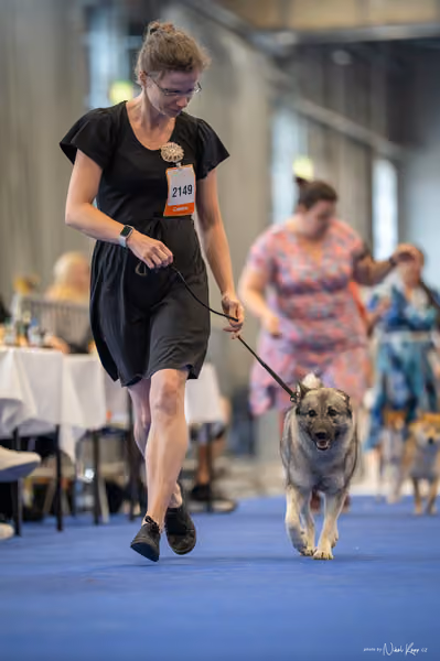 INTERCANIS Brno – FCI 5