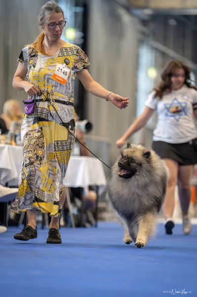 INTERCANIS Brno – FCI 5