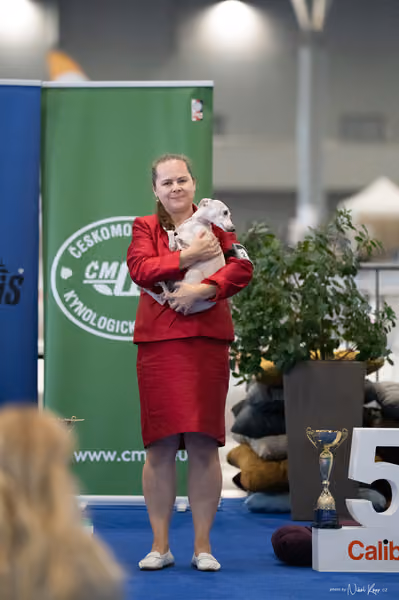 INTERCANIS Brno – FCI 10