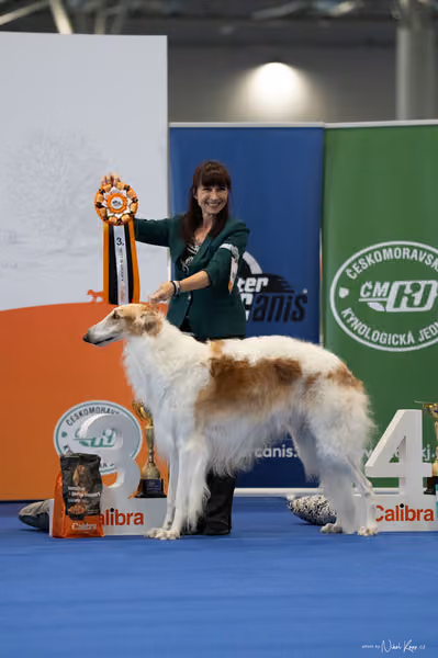 INTERCANIS Brno – FCI 10