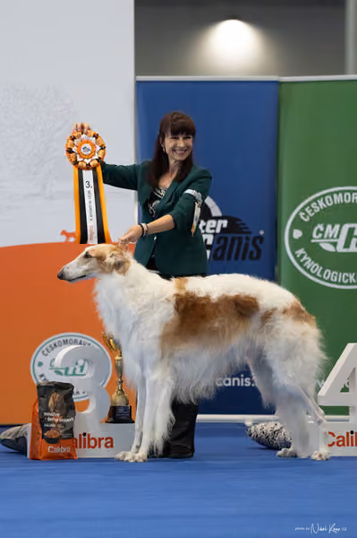INTERCANIS Brno – FCI 10