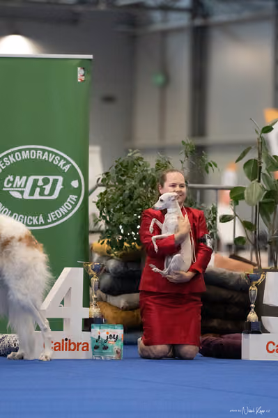 INTERCANIS Brno – FCI 10