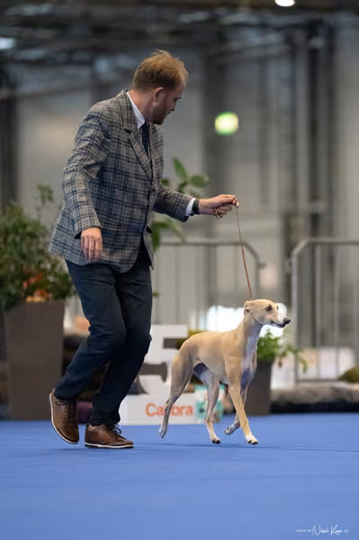 INTERCANIS Brno – FCI 10