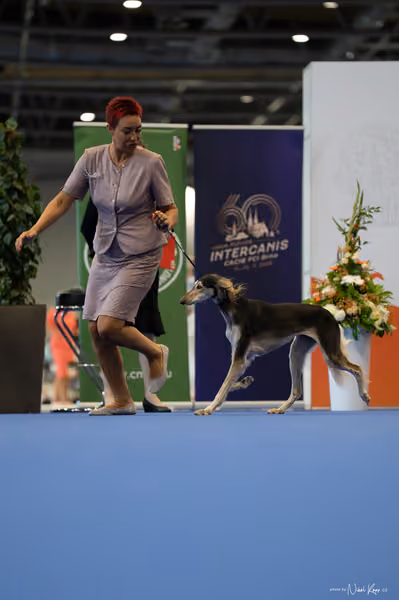 INTERCANIS Brno – FCI 10