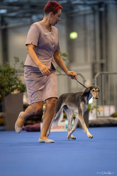 INTERCANIS Brno – FCI 10