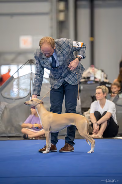INTERCANIS Brno – FCI 10