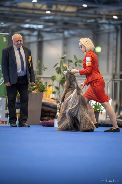 INTERCANIS Brno – FCI 10