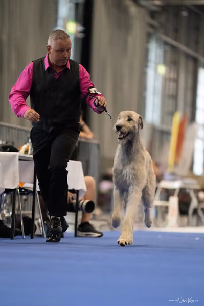 INTERCANIS Brno – BOD