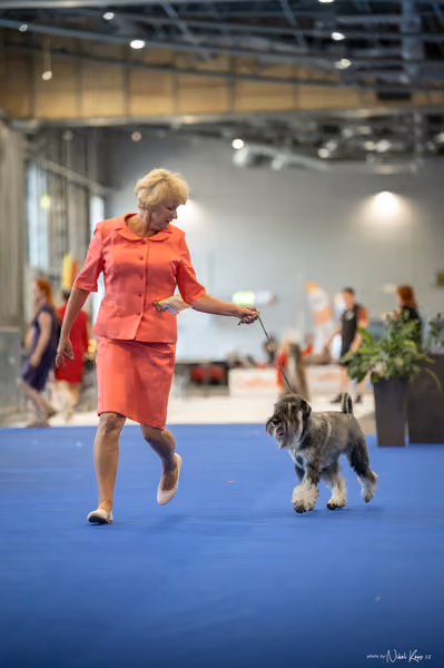 INTERCANIS Brno – BOD