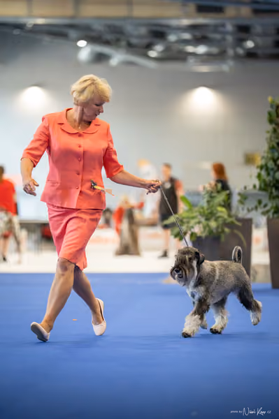 INTERCANIS Brno – BOD