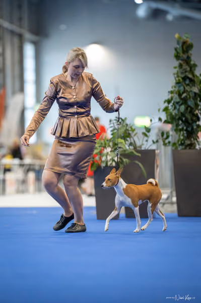 INTERCANIS Brno – BOD