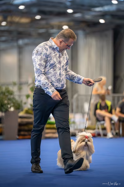 INTERCANIS Brno – BOD