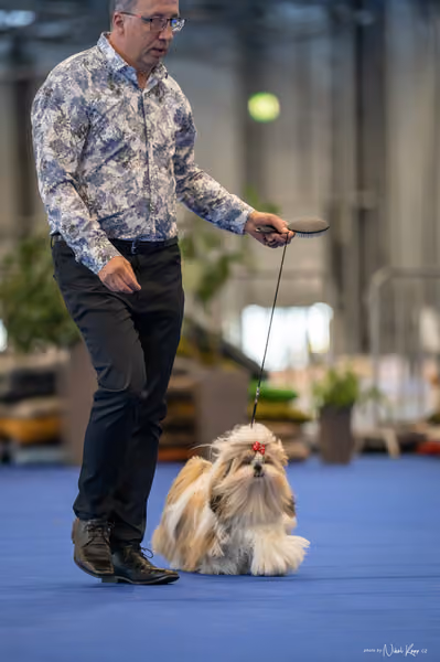 INTERCANIS Brno – BOD