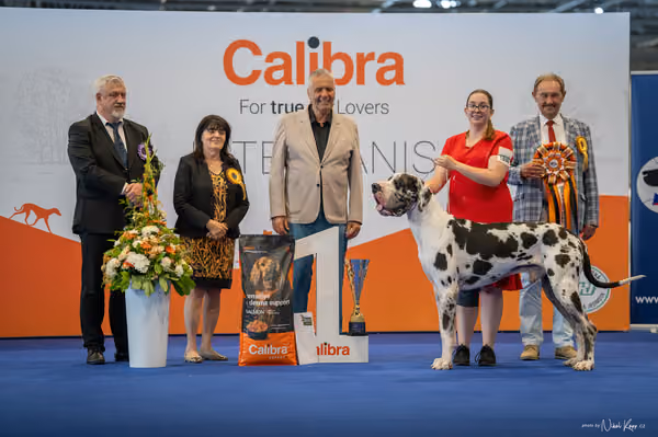 INTERCANIS Brno – BOD