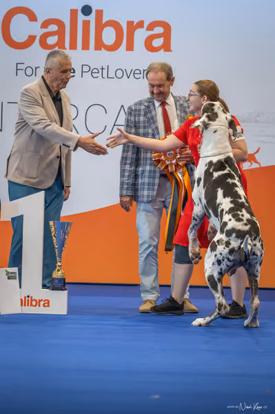 INTERCANIS Brno – BOD