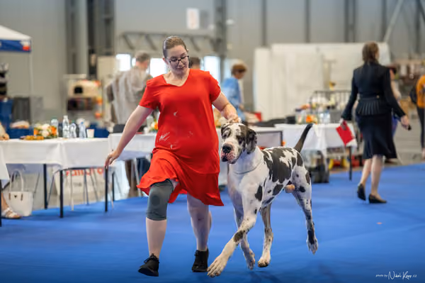 INTERCANIS Brno – BOD
