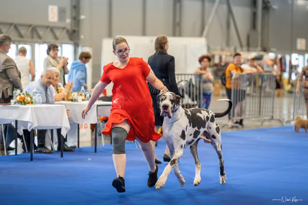 INTERCANIS Brno – BOD