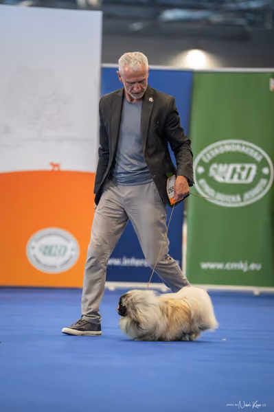 INTERCANIS Brno – BOD