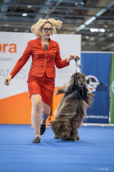INTERCANIS Brno – BOD
