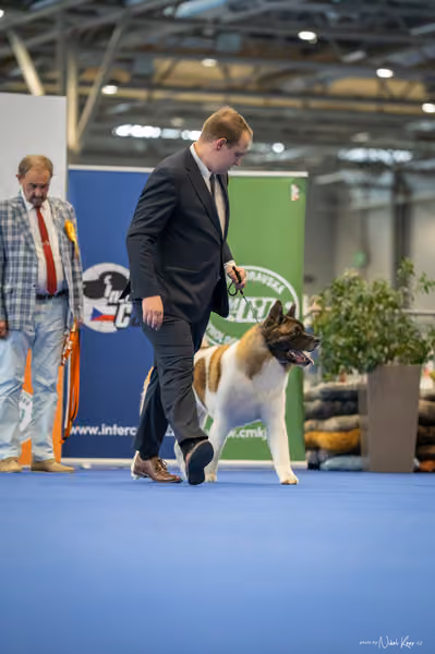 INTERCANIS Brno – BOD