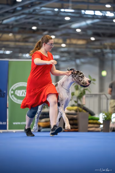 INTERCANIS Brno – BOD