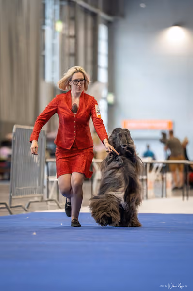 INTERCANIS Brno – BOD
