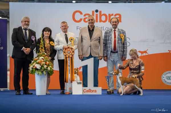 INTERCANIS Brno – BOD